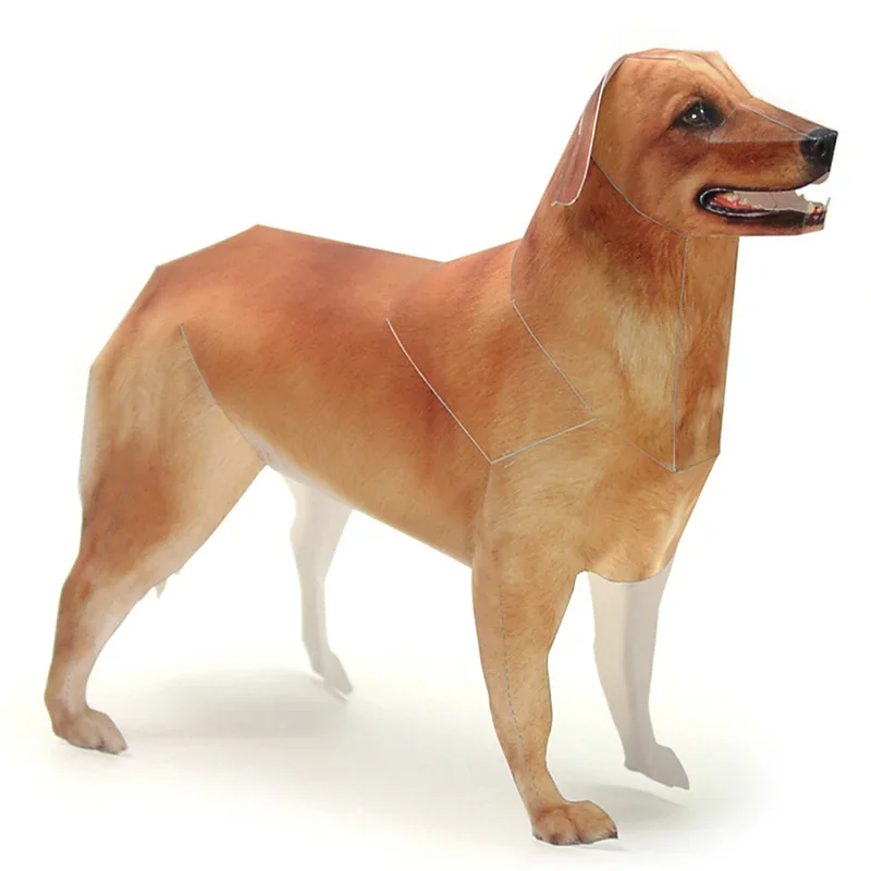 Art Craft Center - Golden Retriever Köpek Kağıt Modeli Gerçekçi